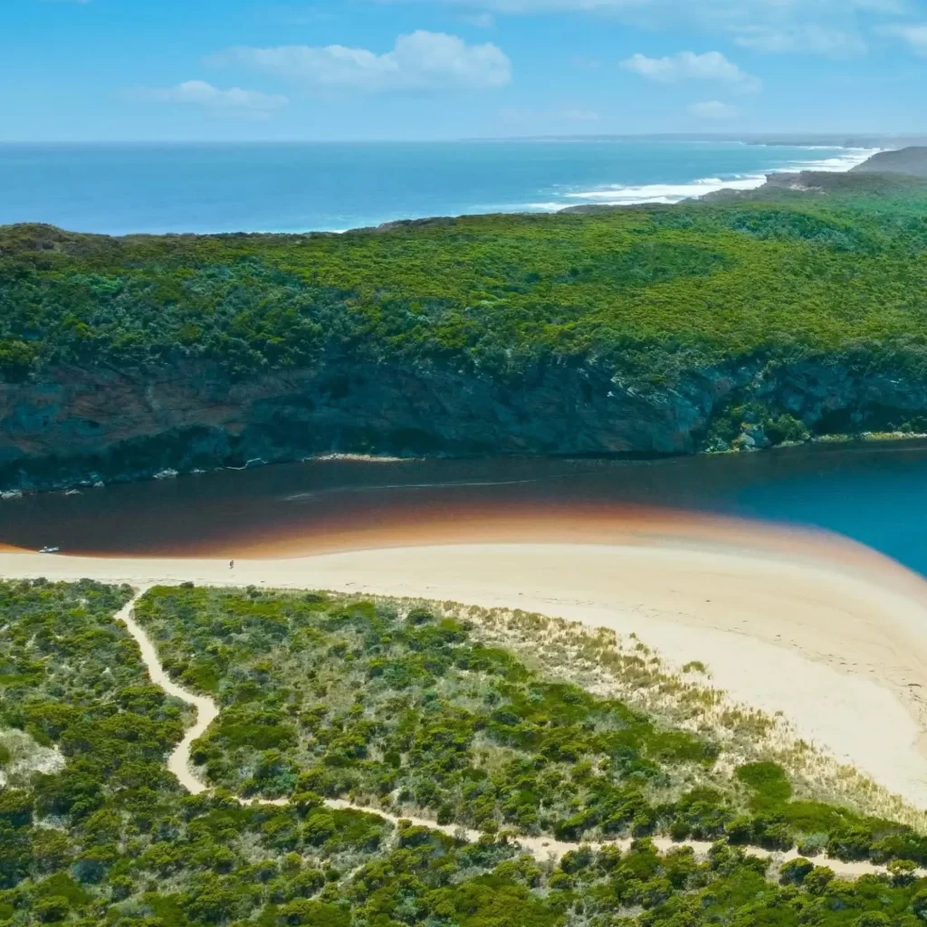 Great Ocean Road tours