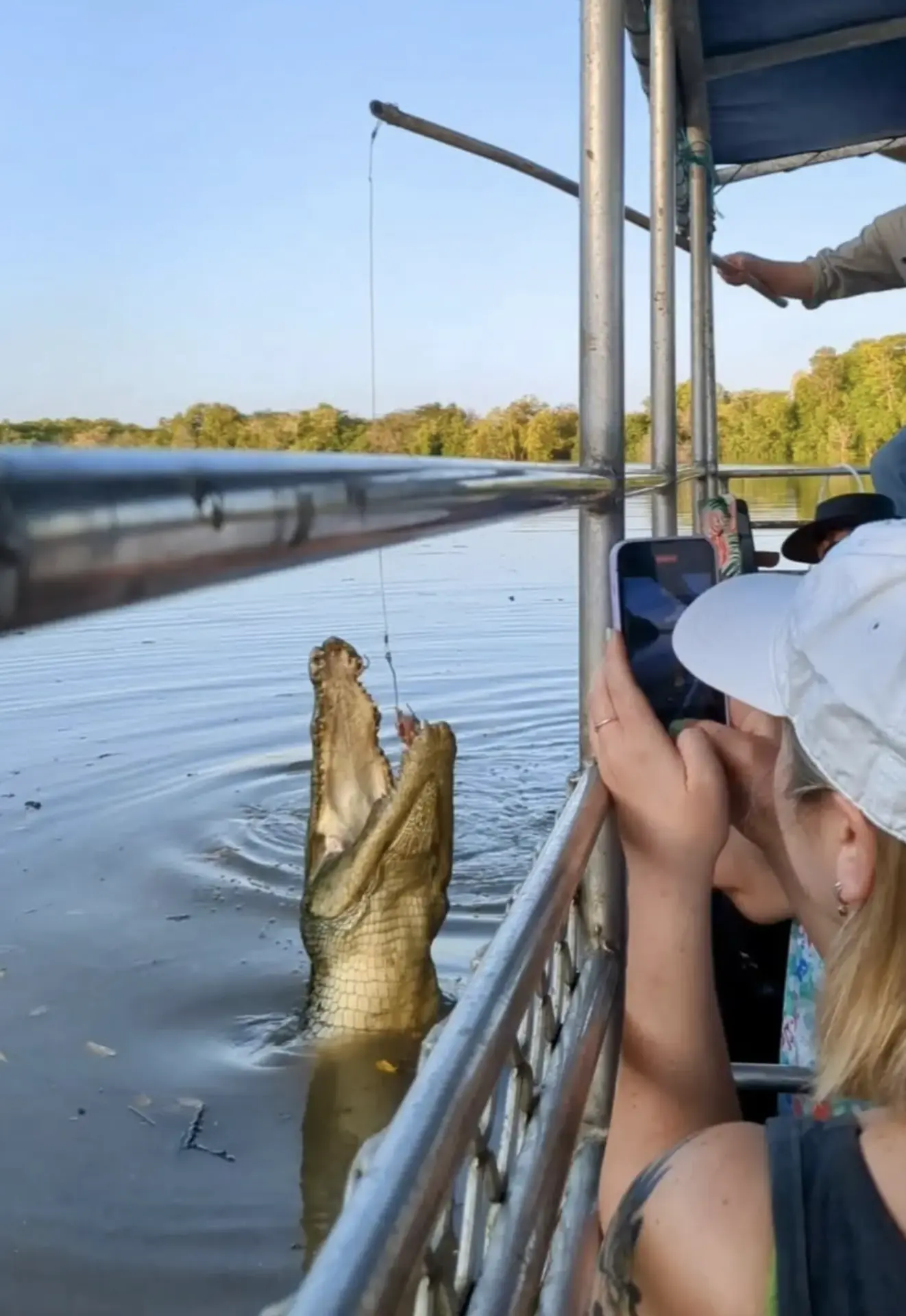 Saltwater Crocodile Habitat