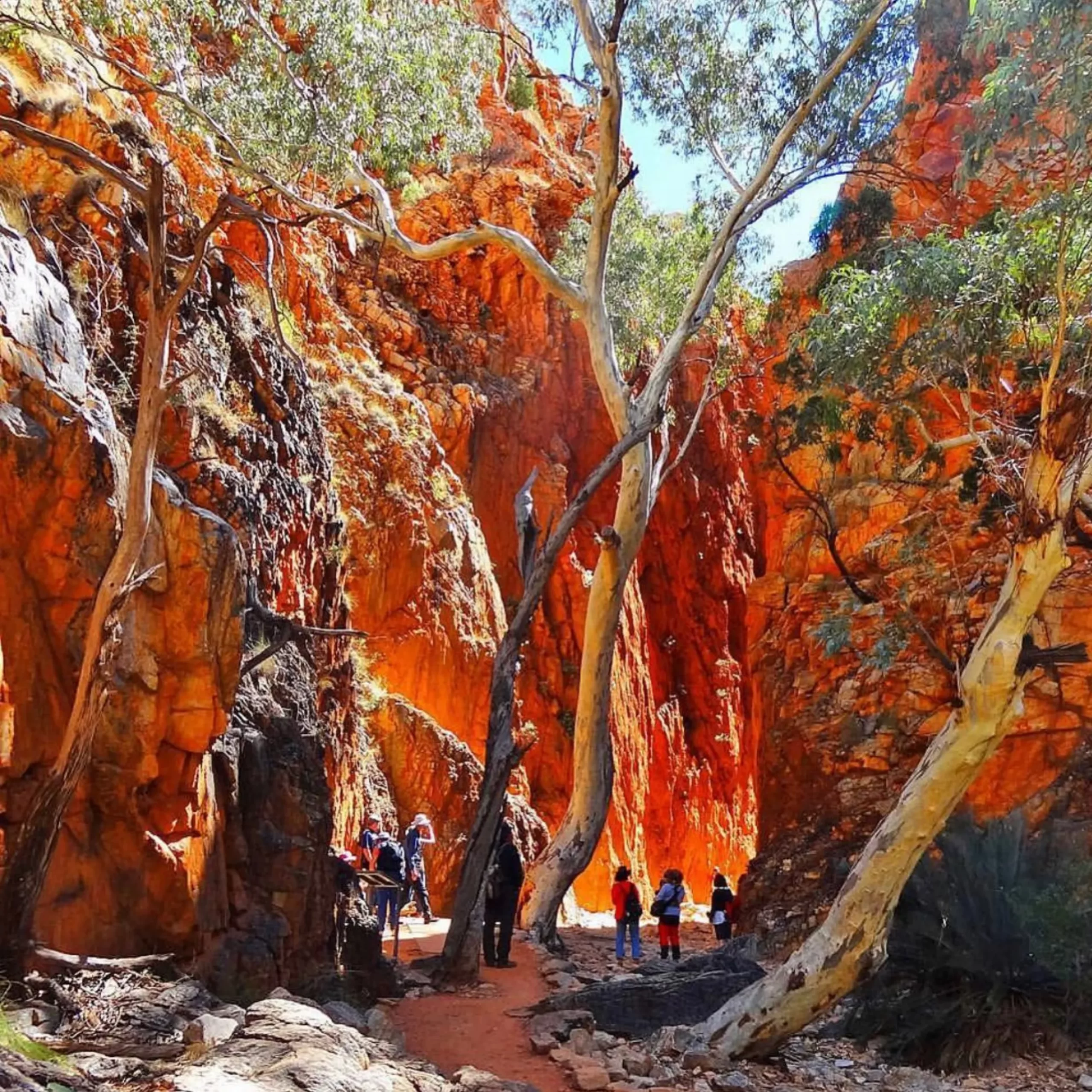 Explore Standley Chasm on the Iconic Larapinta Trail