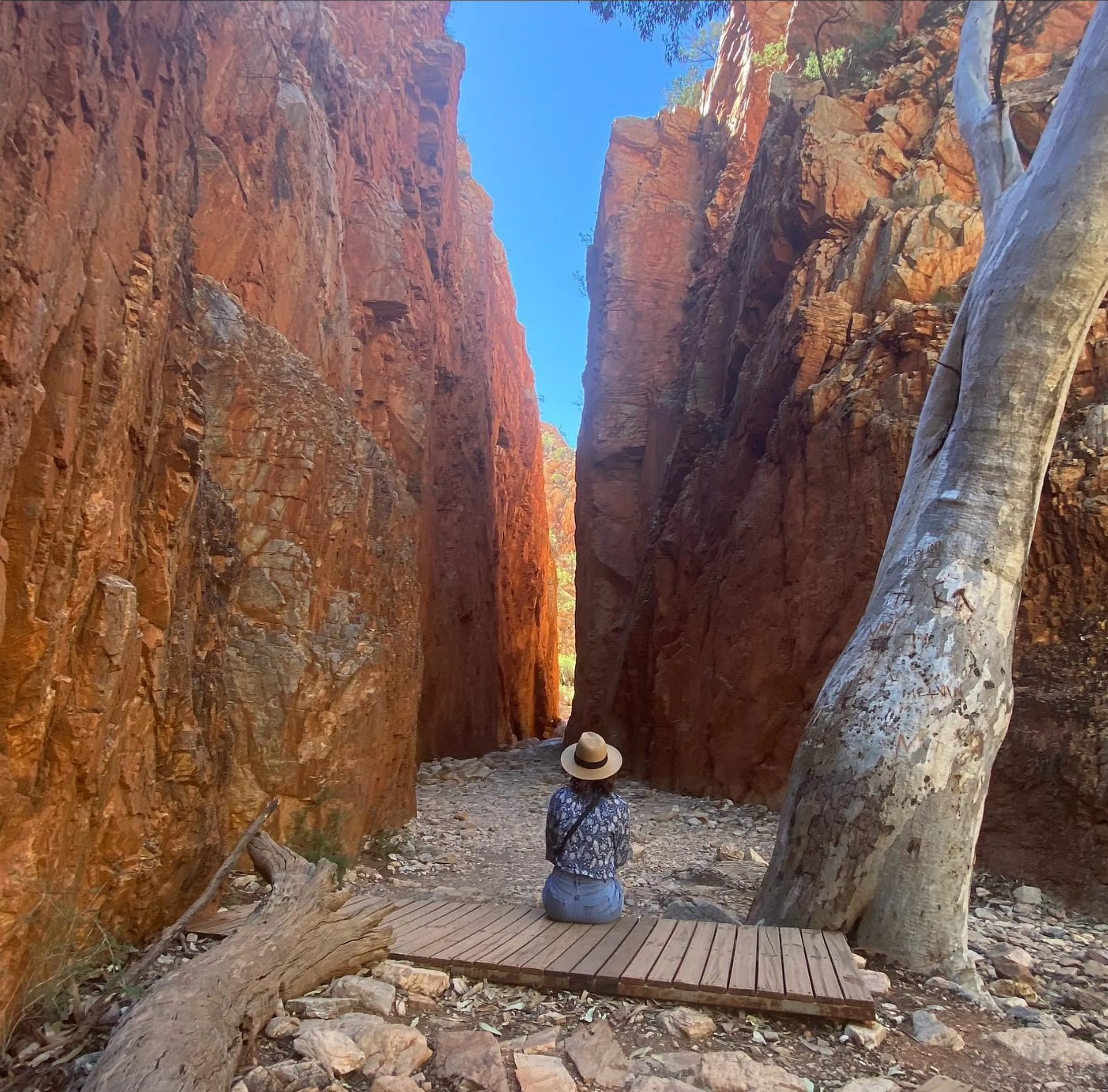 camping grounds, Larapinta