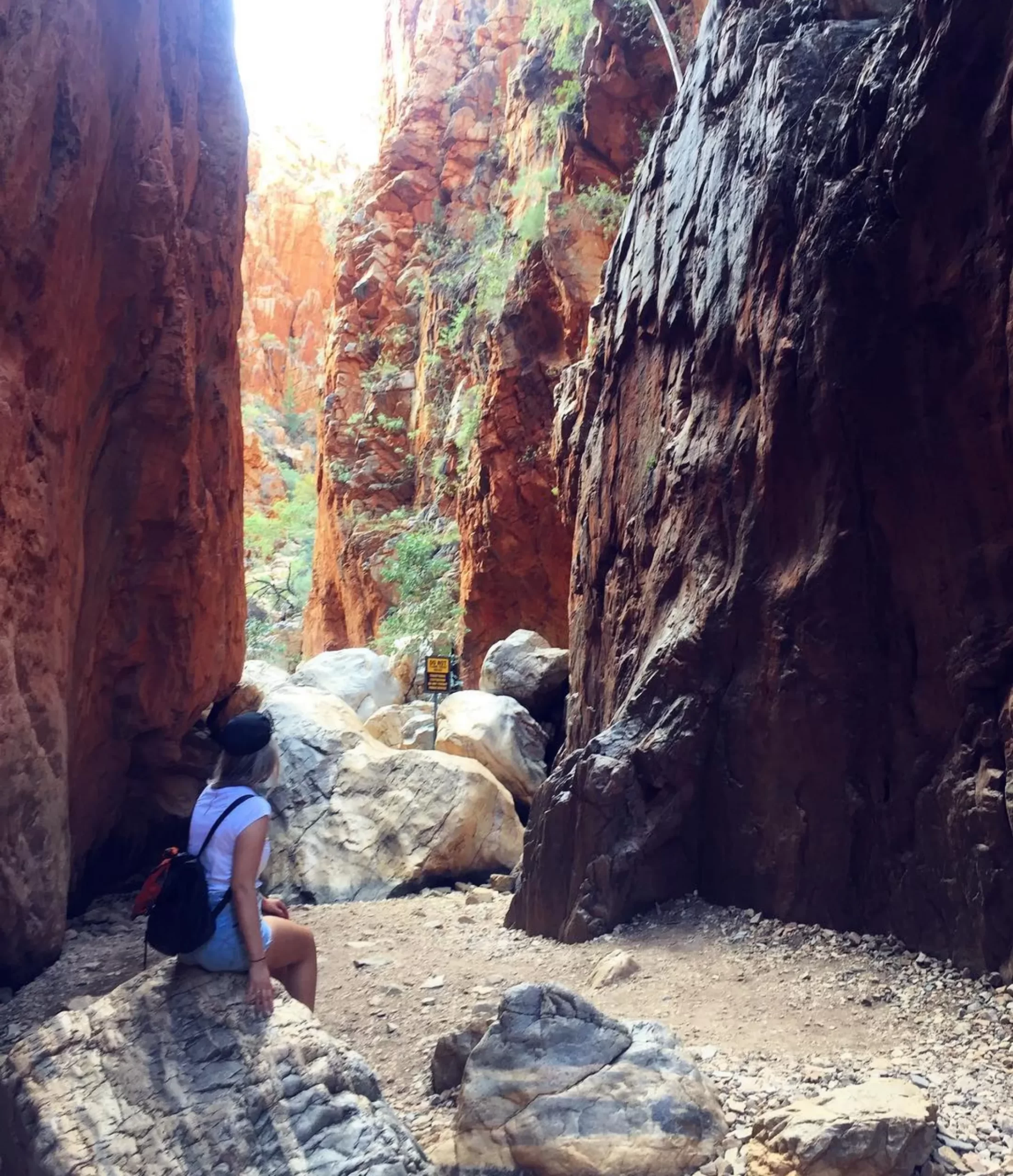 day walkers, Larapinta