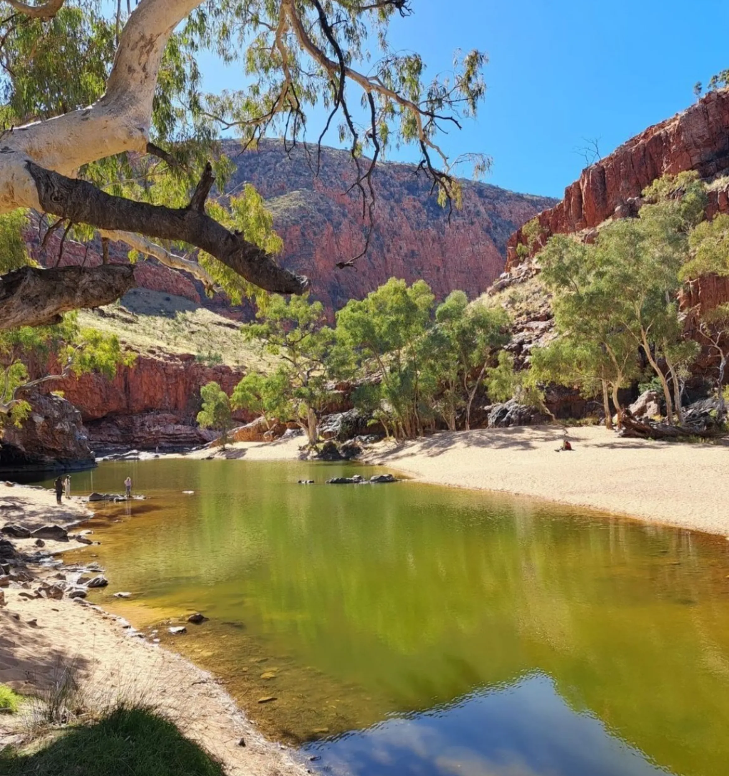 peaceful swimming spot, Larapinta