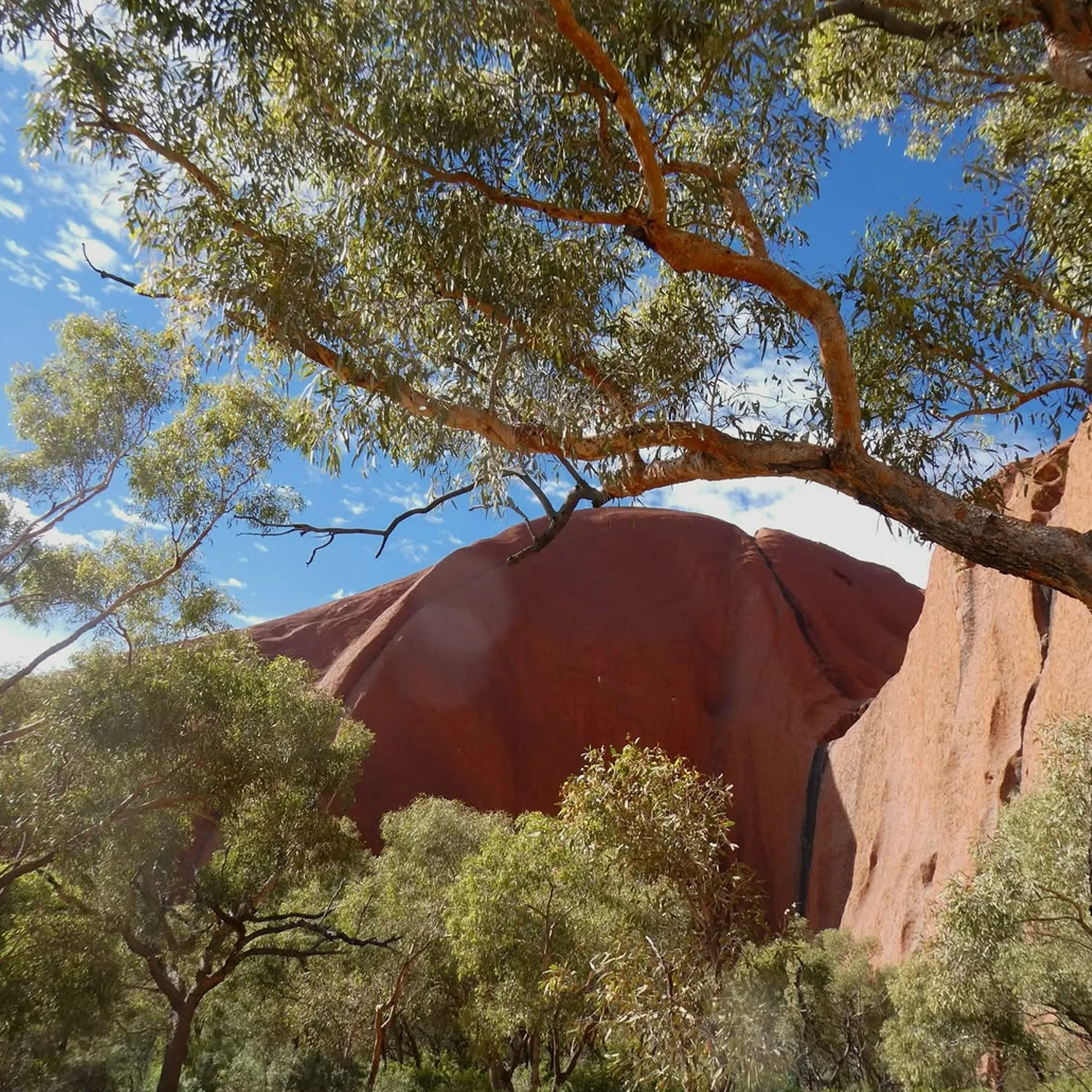 uluru rock formation with natural surroundings