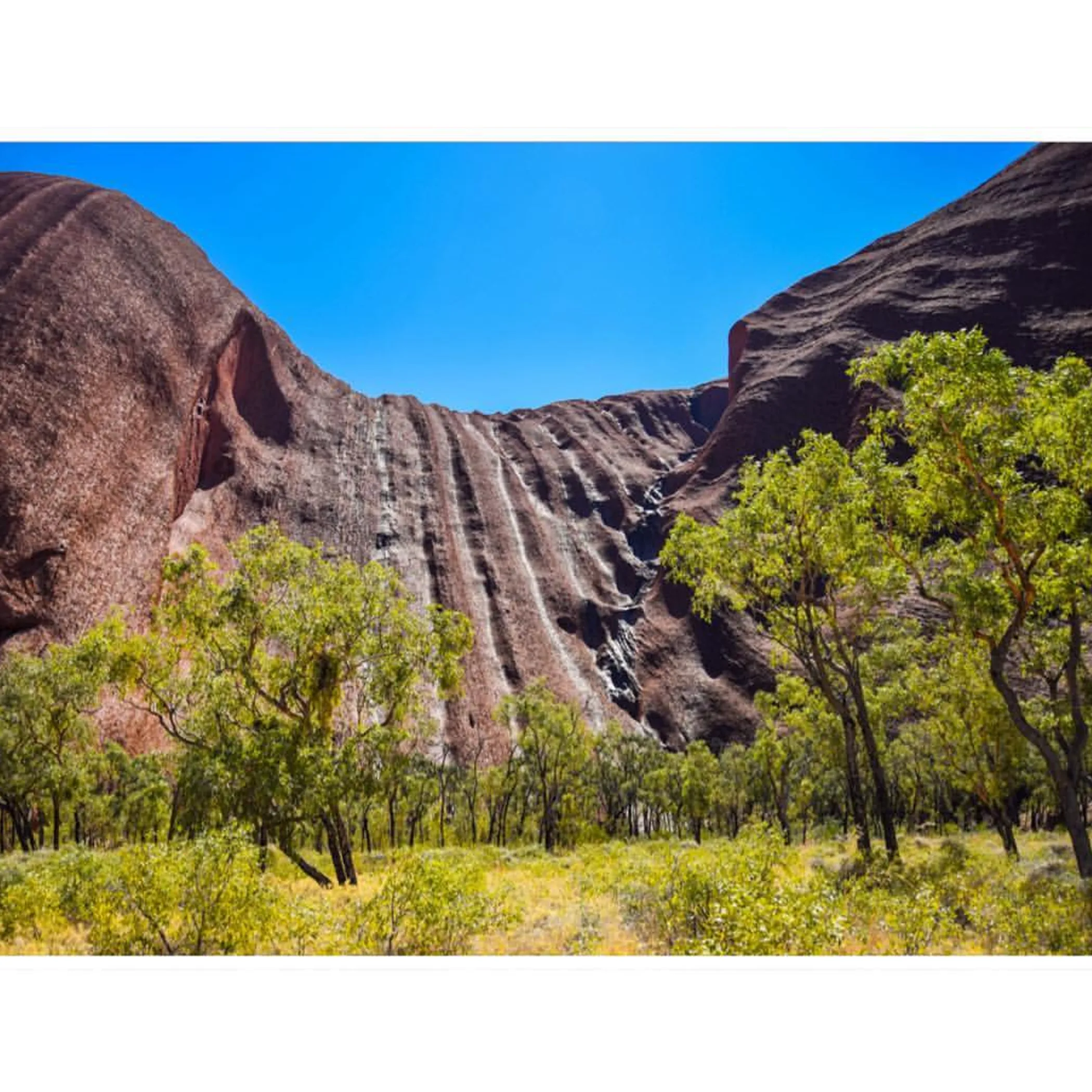 uluru rock formation with natural surroundings