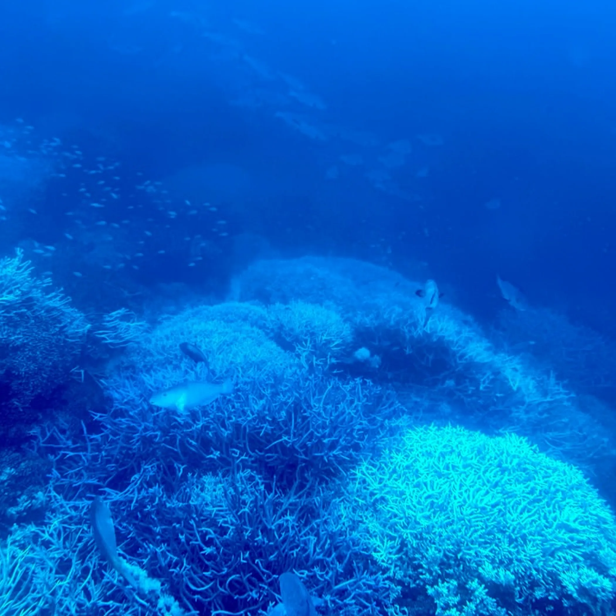 great barrier reef islands