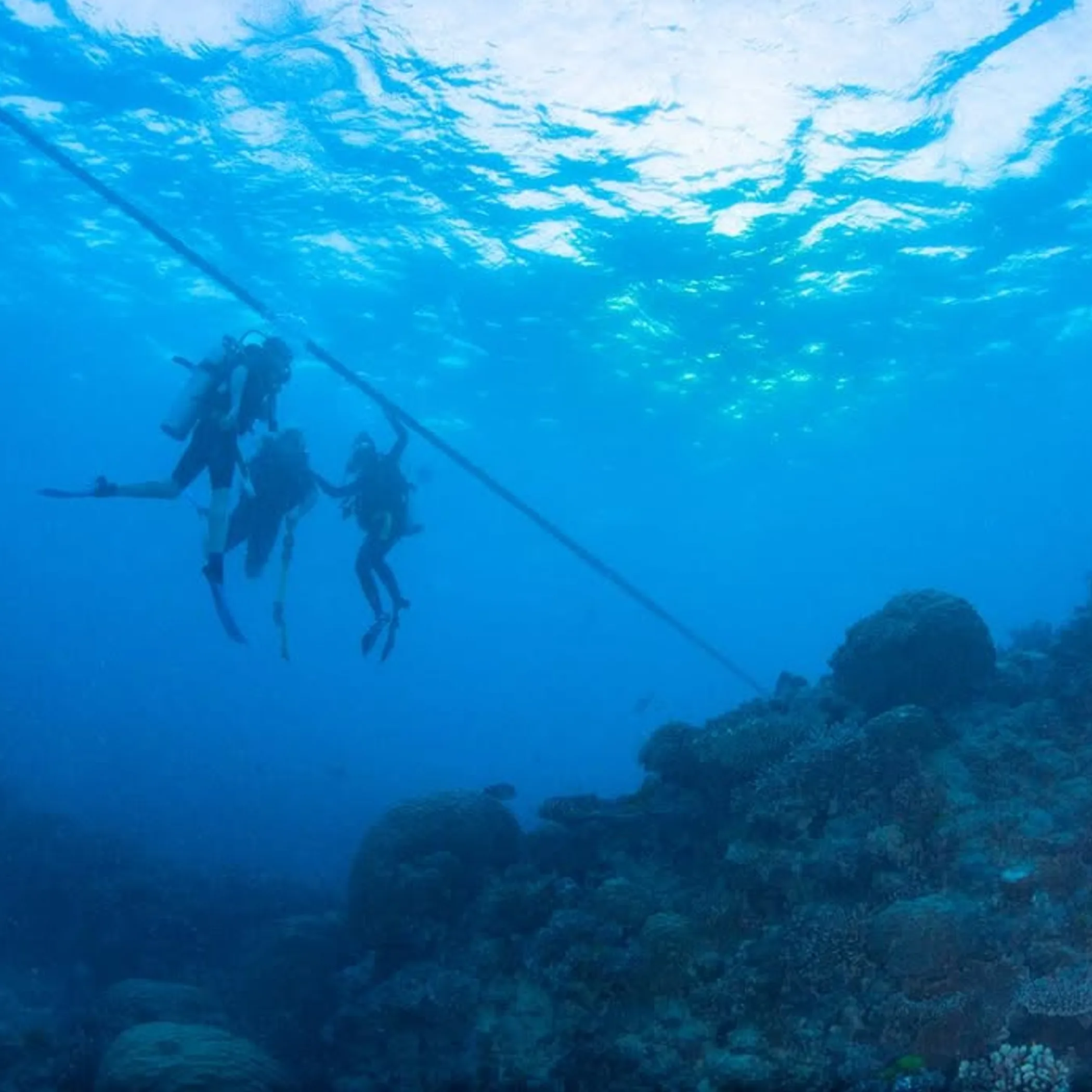 underwater reef photograph